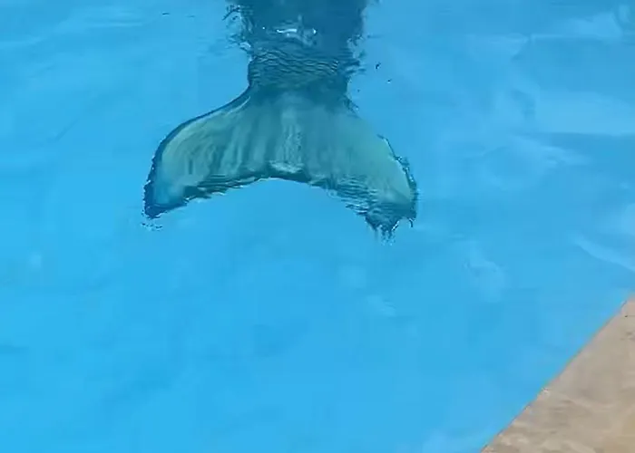 Studio spa privé accès piscine